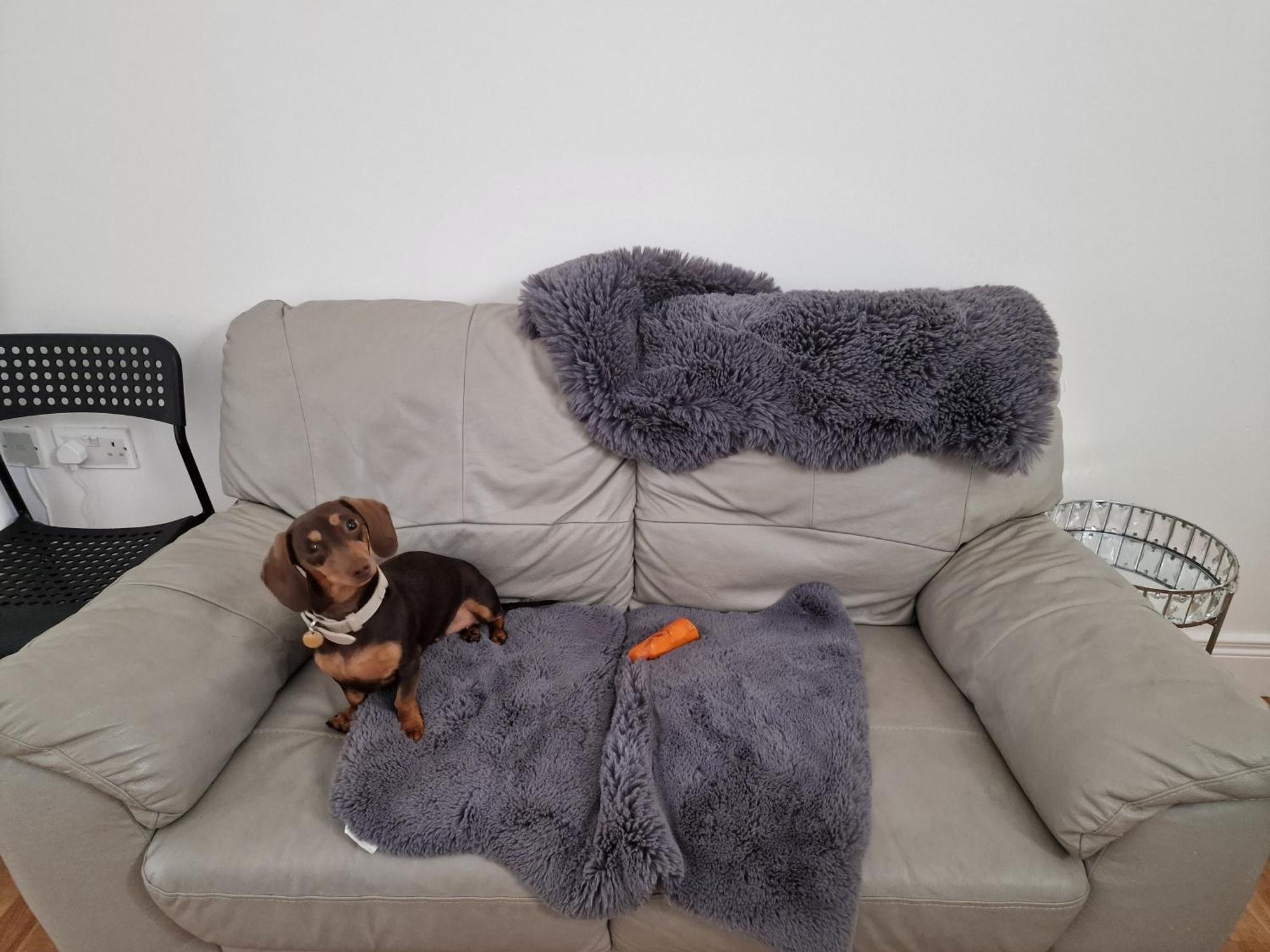 Aunty Katie'S House, Ni Tourist Board Certified & Located On The Main Oldpark Road To Belfast, With Free Continental Breakfast & Free Ultra Fast Sky Internet, Free Sky Sports & Free Sky Cinema, Self-Check In After 10Pm Gmt Hostel Exterior photo